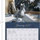 Love of Cats - 2027 Wall Calendar