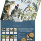 Love of Cats - 2027 Wall Calendar