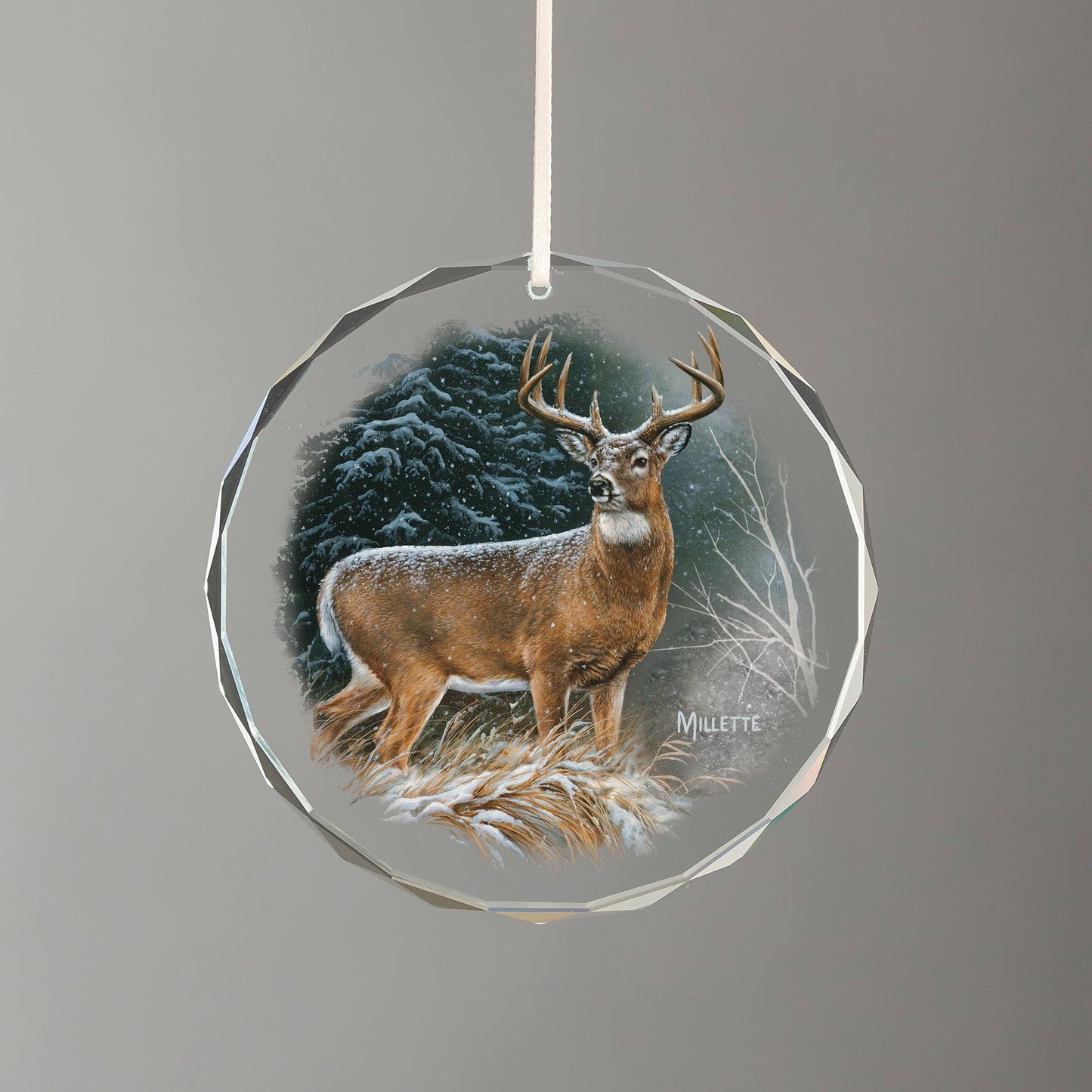In the Storm - Deer