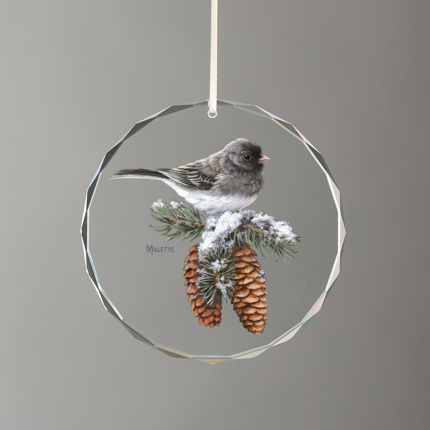 Winter Gems - Junco