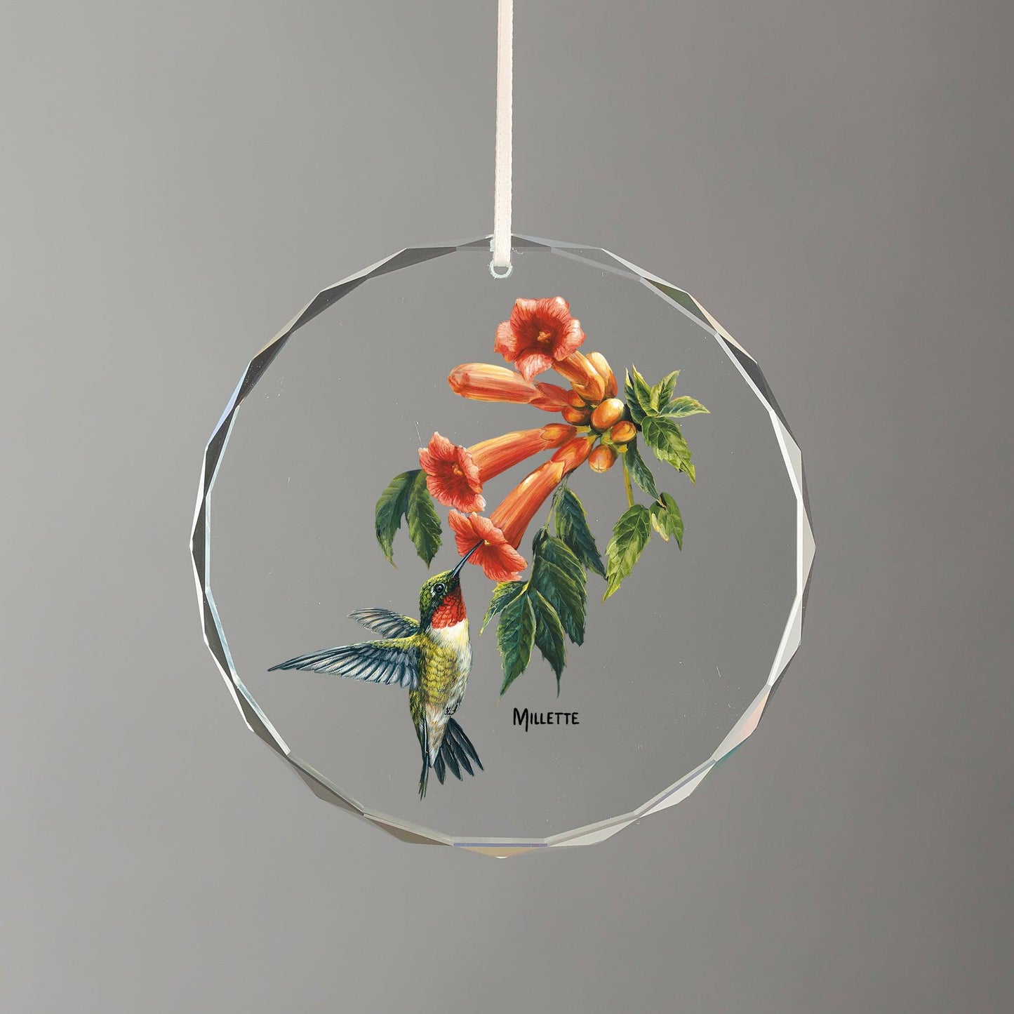 Summer - Ruby-throated Hummingbird