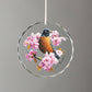Country Garden - Robin
