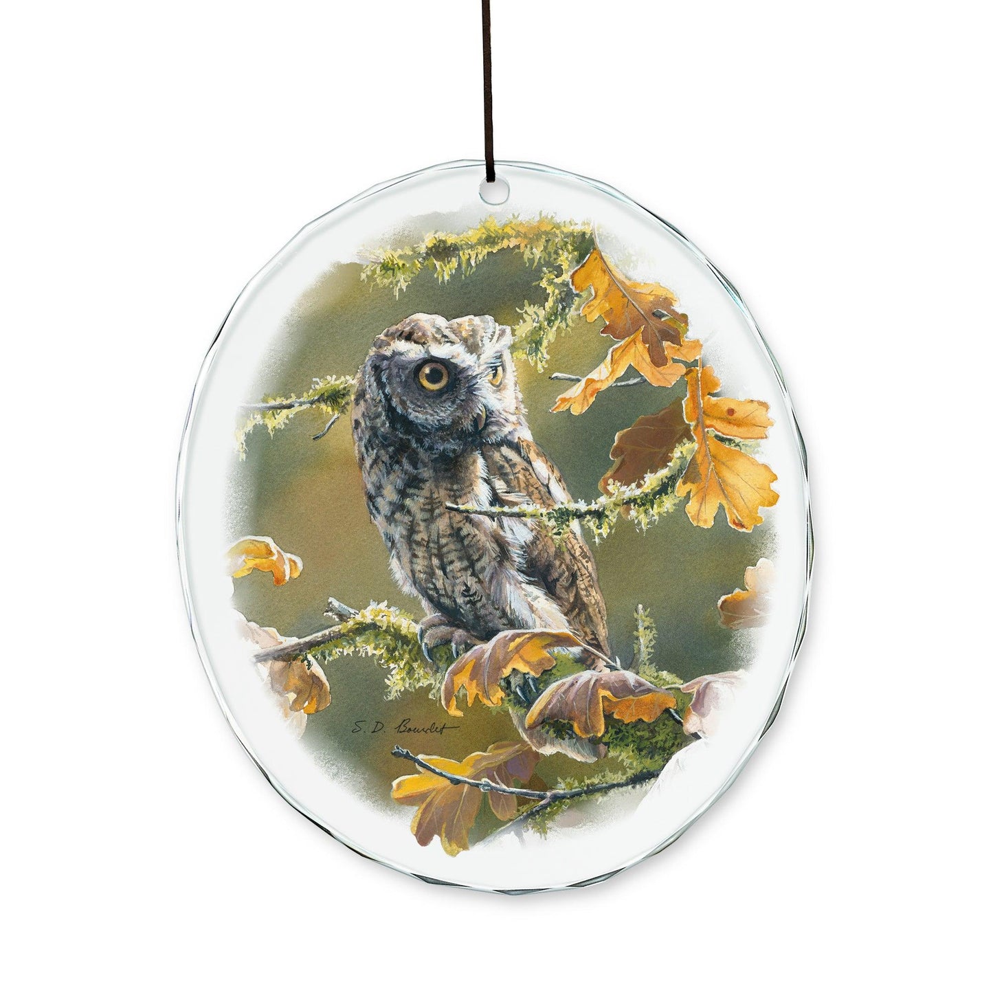 Autumn Oak - Screech Owl - Suncatcher