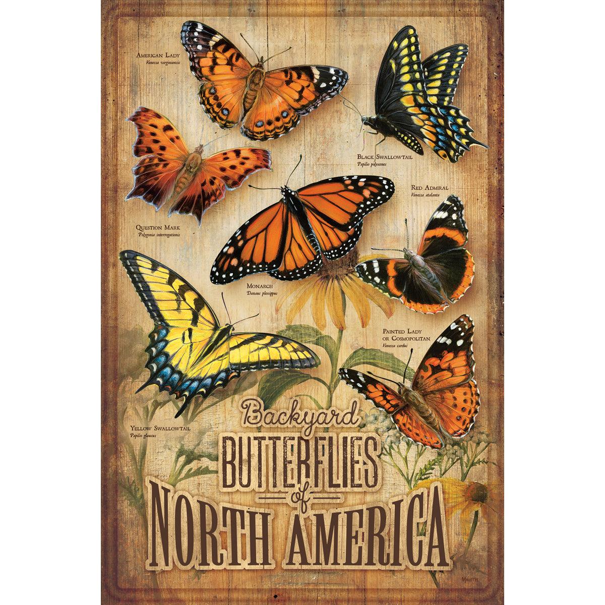 Backyard Butterflies