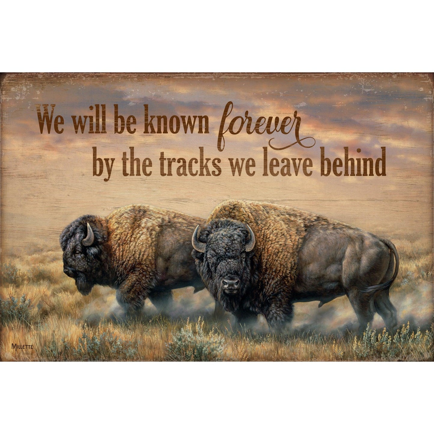 Known Forever - Bison