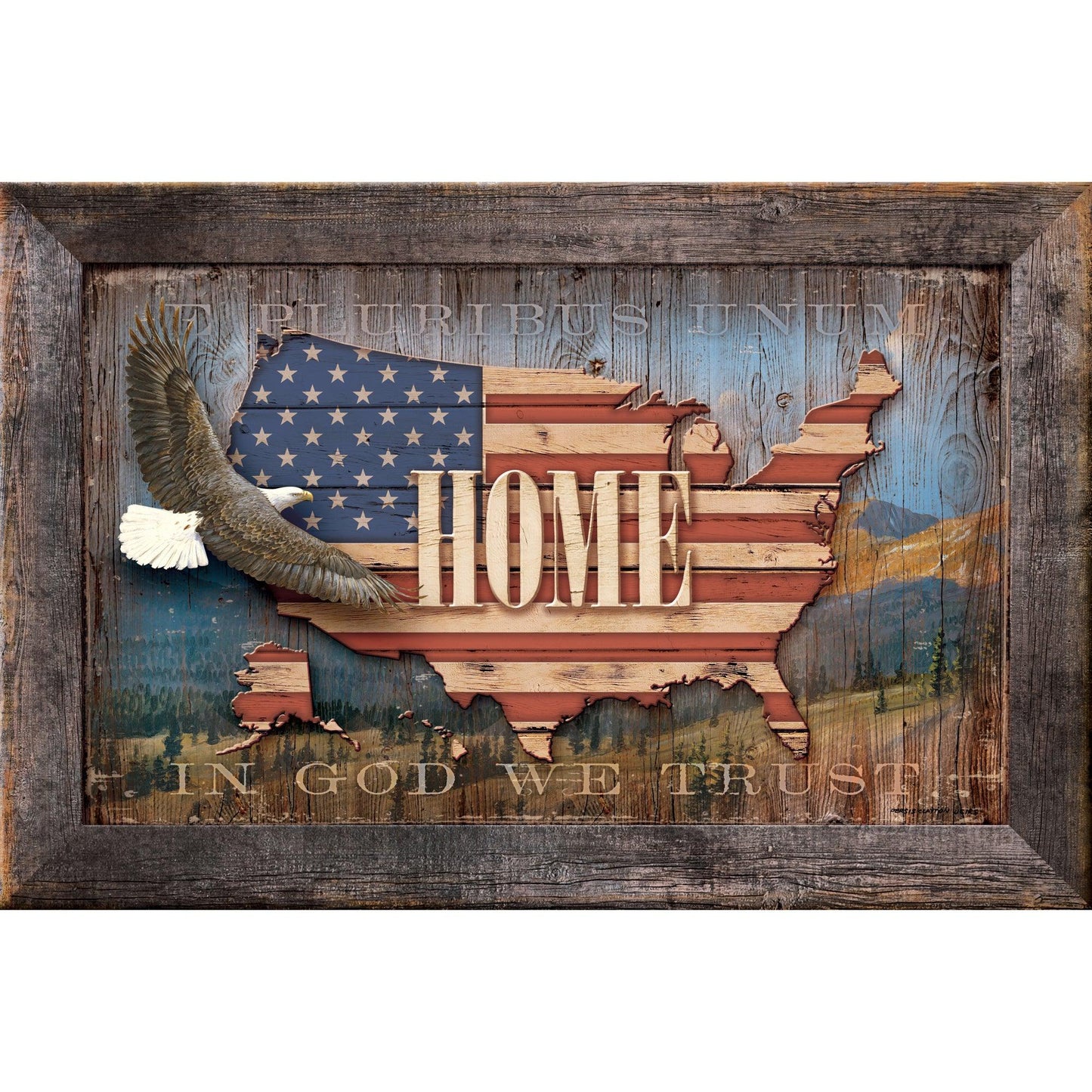 USA - Bald Eagle