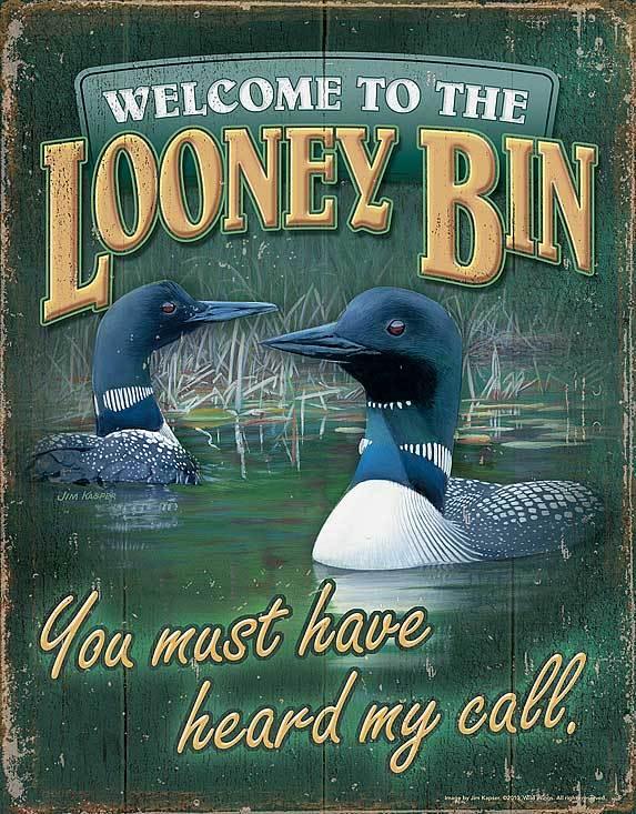 Looney Bin