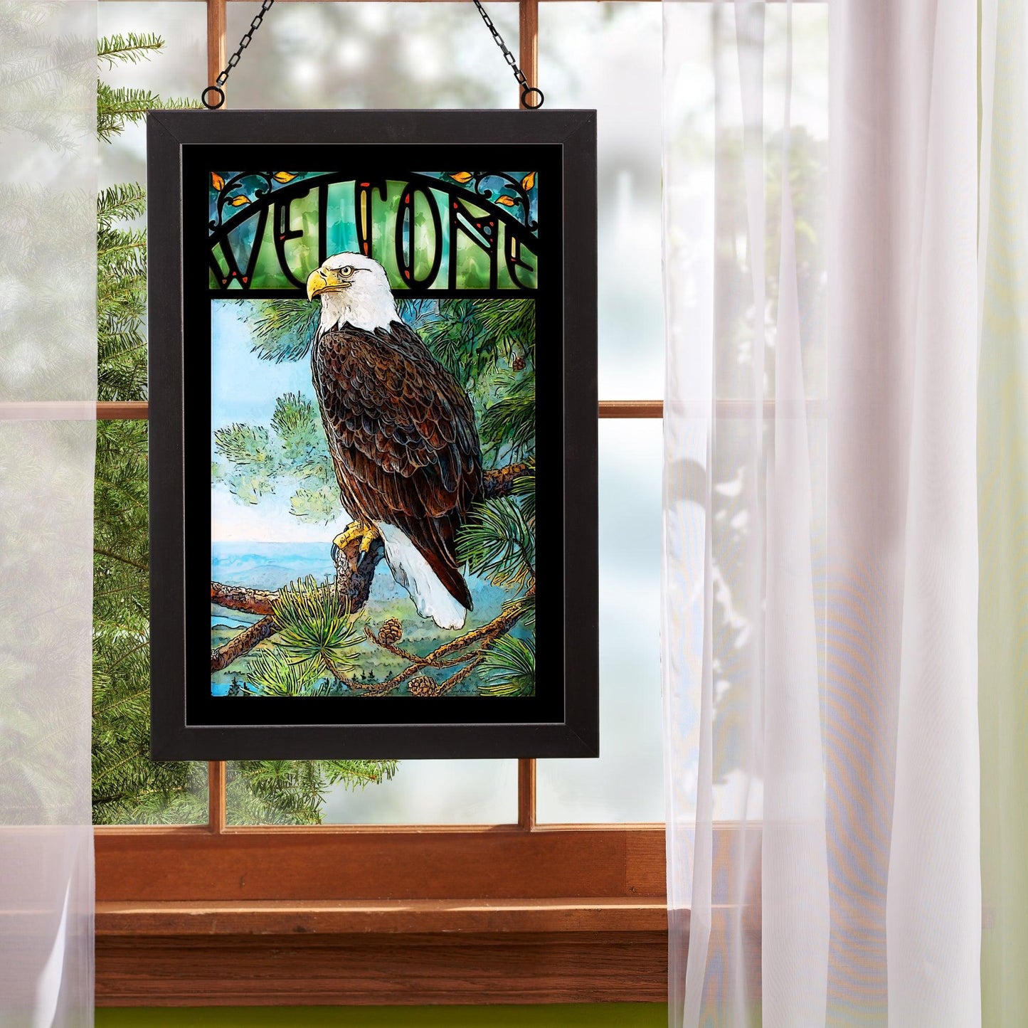 Welcome Bald Eagle