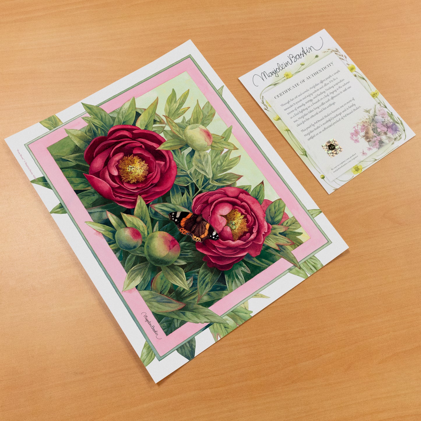 Peony Bloom - Art Prints