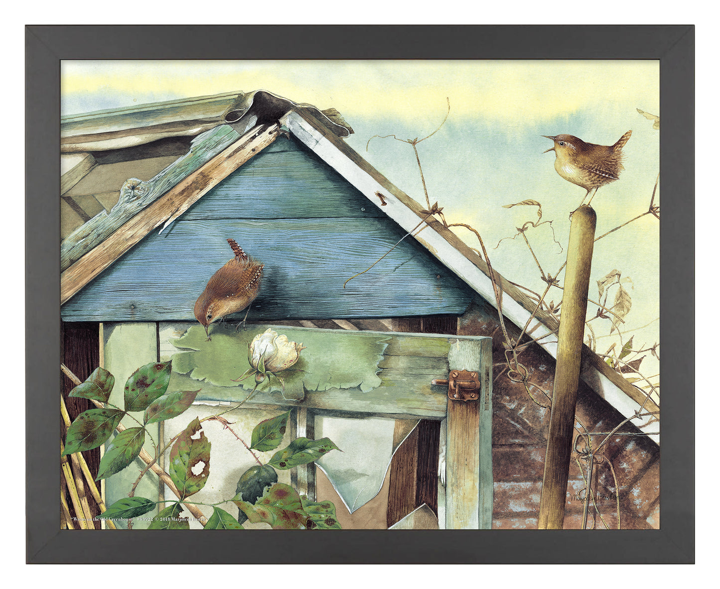 Wrens on the Old Greenhouse - Art Prints