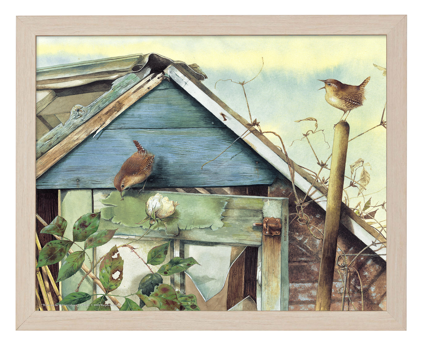 Wrens on the Old Greenhouse - Art Prints