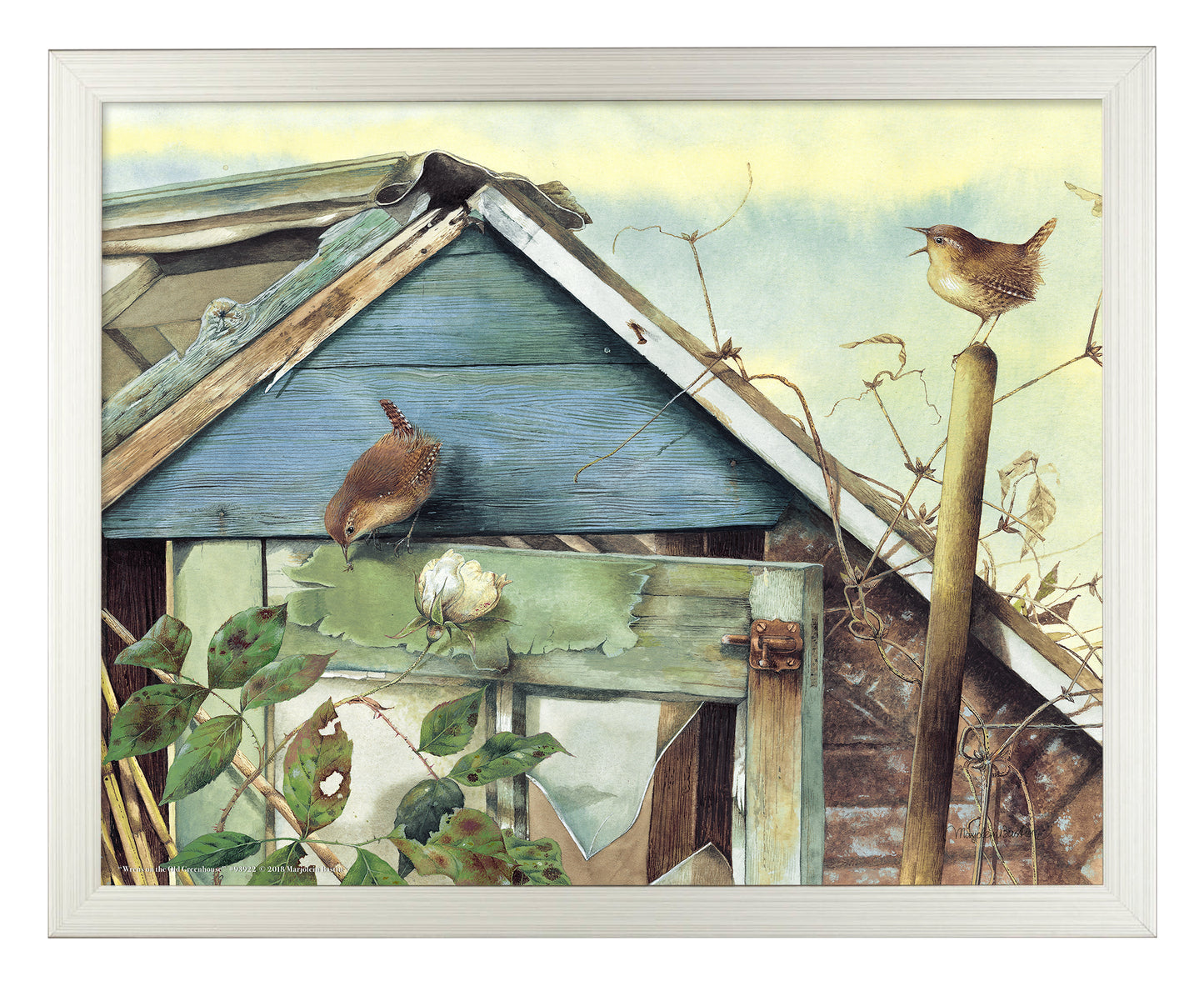 Wrens on the Old Greenhouse - Art Prints