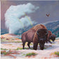 Spirit of Yellowstone - 14" x 14" - Gallery Wrapped Canvas