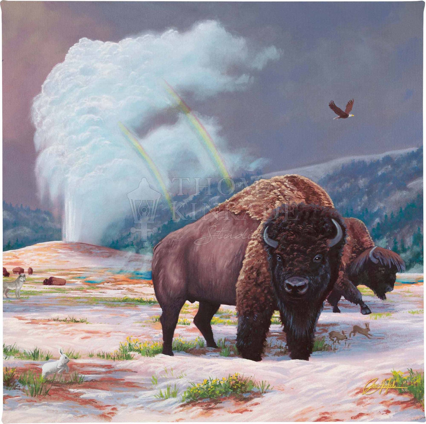 Spirit of Yellowstone - 14" x 14" - Gallery Wrapped Canvas
