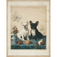Martha Stewart Bedford | Farm Companion Portrait: Black and White Dogs | Framed Country Farmhouse Wall Art