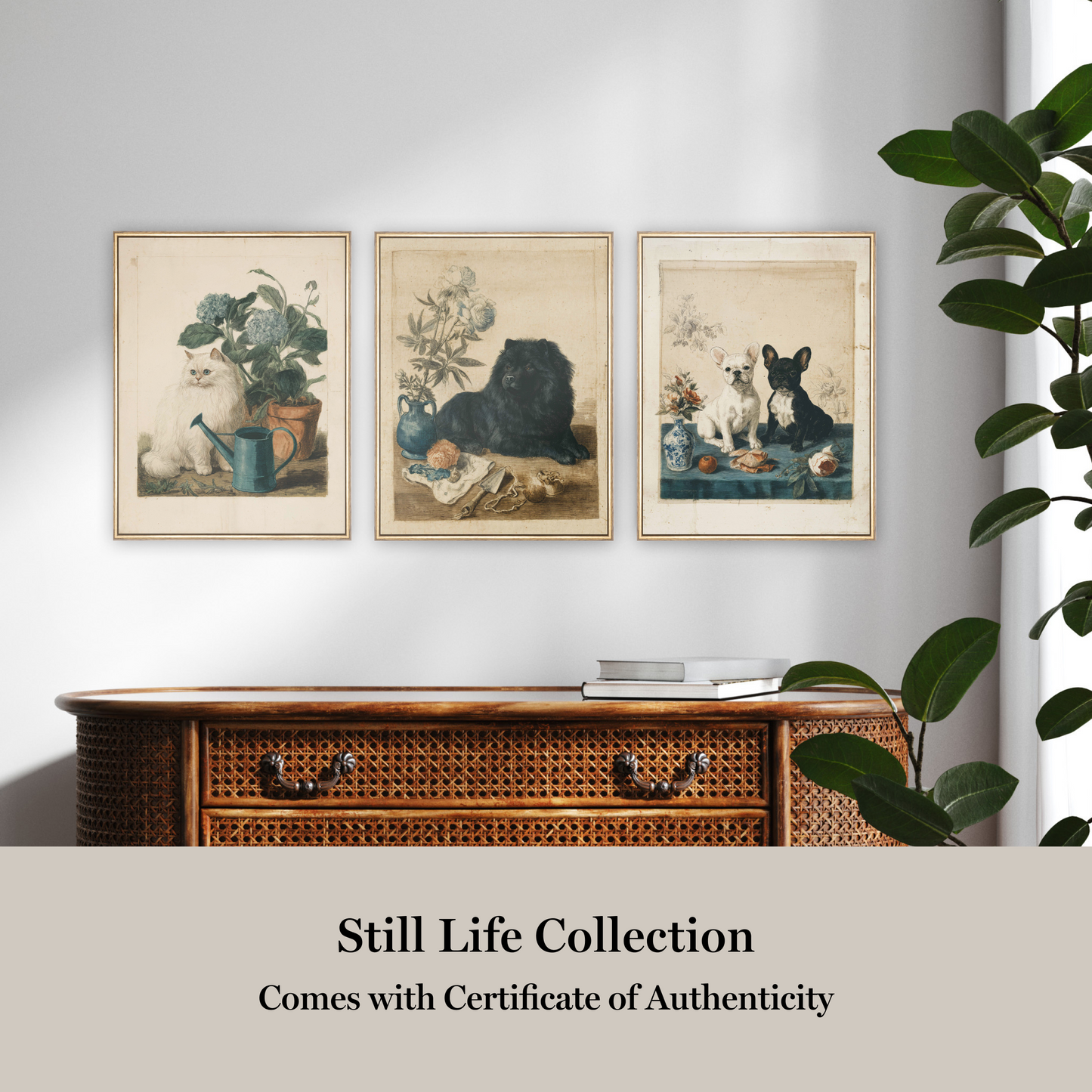 Martha Stewart Bedford | Farm Companion Portrait: Black and White Dogs | Framed Country Farmhouse Wall Art