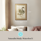 Martha Stewart Skylands | Naturalist Study: Waterfowl I | Framed Vintage Wildlife Illustration | New England Estate Wall Art