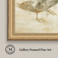 Martha Stewart Skylands | Naturalist Study: Waterfowl I | Framed Vintage Wildlife Illustration | New England Estate Wall Art