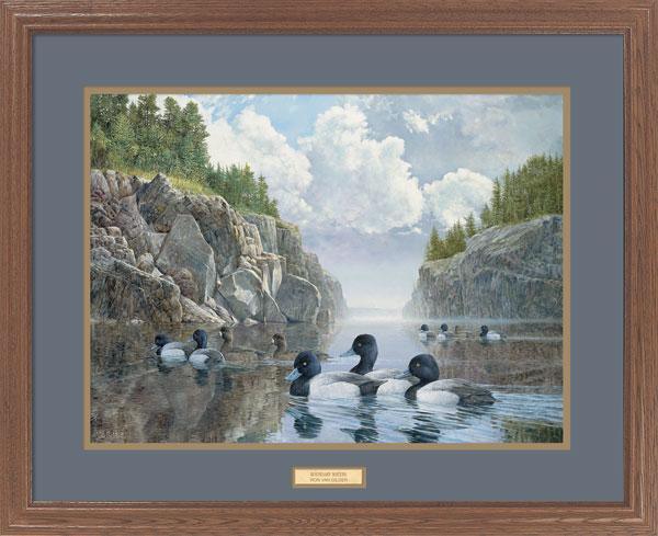 Boundary_Waters_Bluebills_VanGilder_PremPlus_EPR9131008d_1328f2cb-316e-4152-aa82-383216d84eb8.jpg