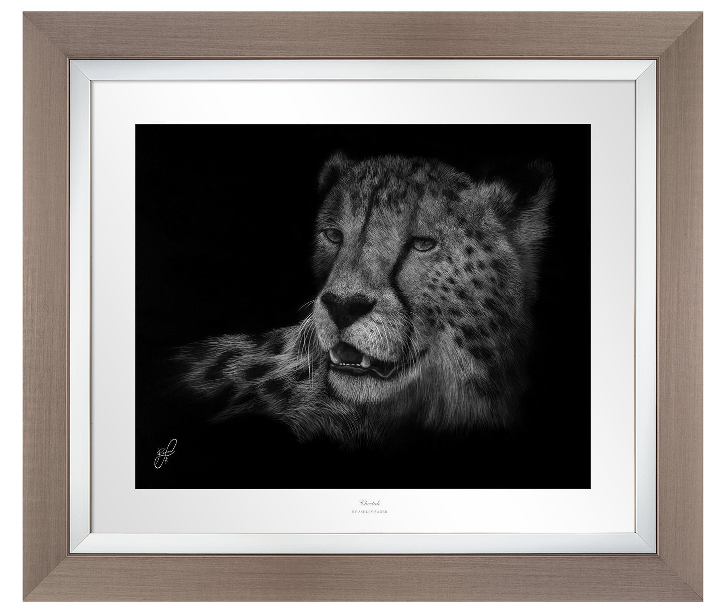 Cheetah - Master Artisan Paper