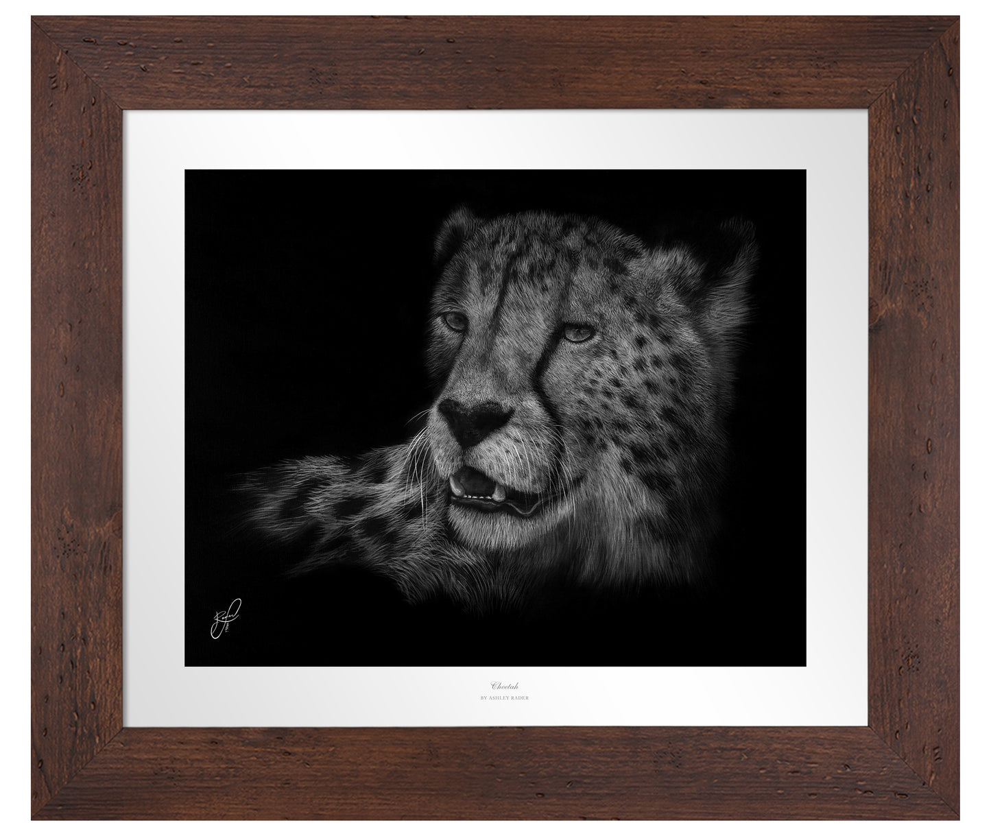 Cheetah - Master Artisan Paper