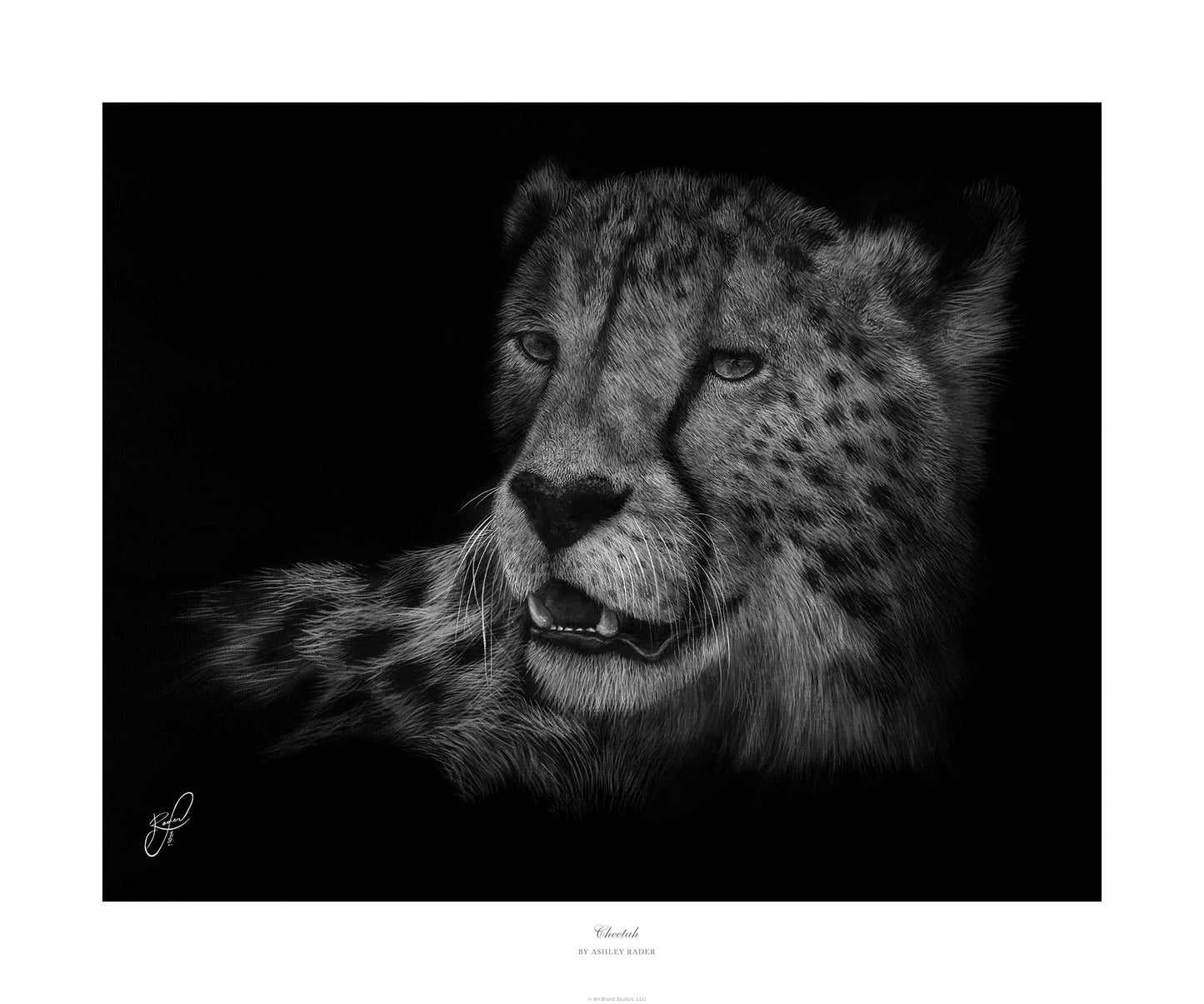 Cheetah - Master Artisan Paper