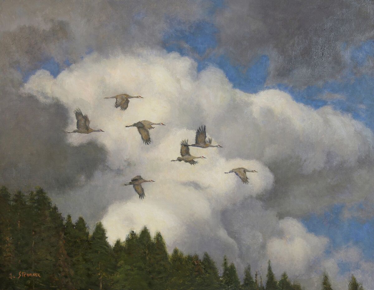 Cranes and Cumulus - Original Oil Painting
