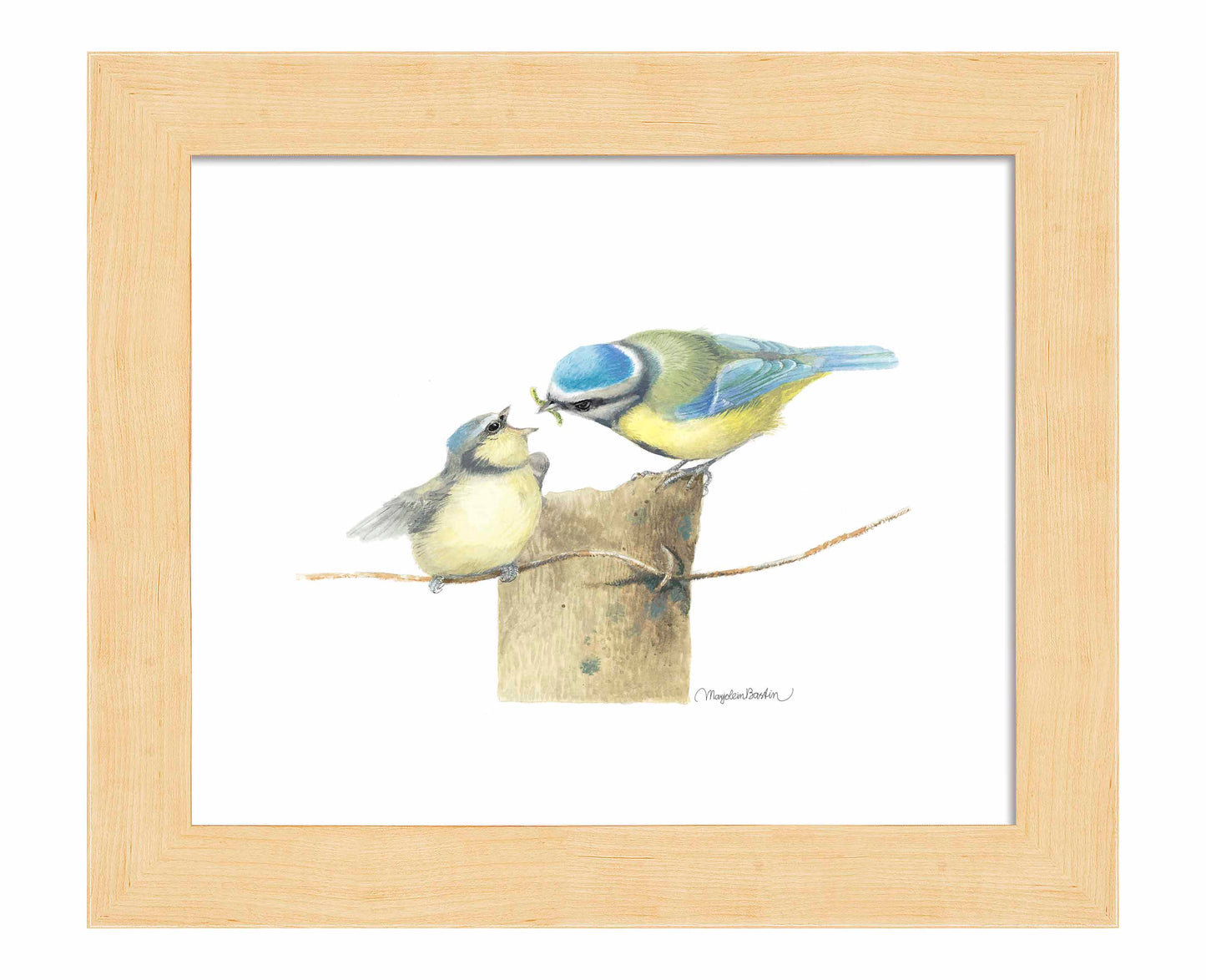 The Early Bird - Art Prints