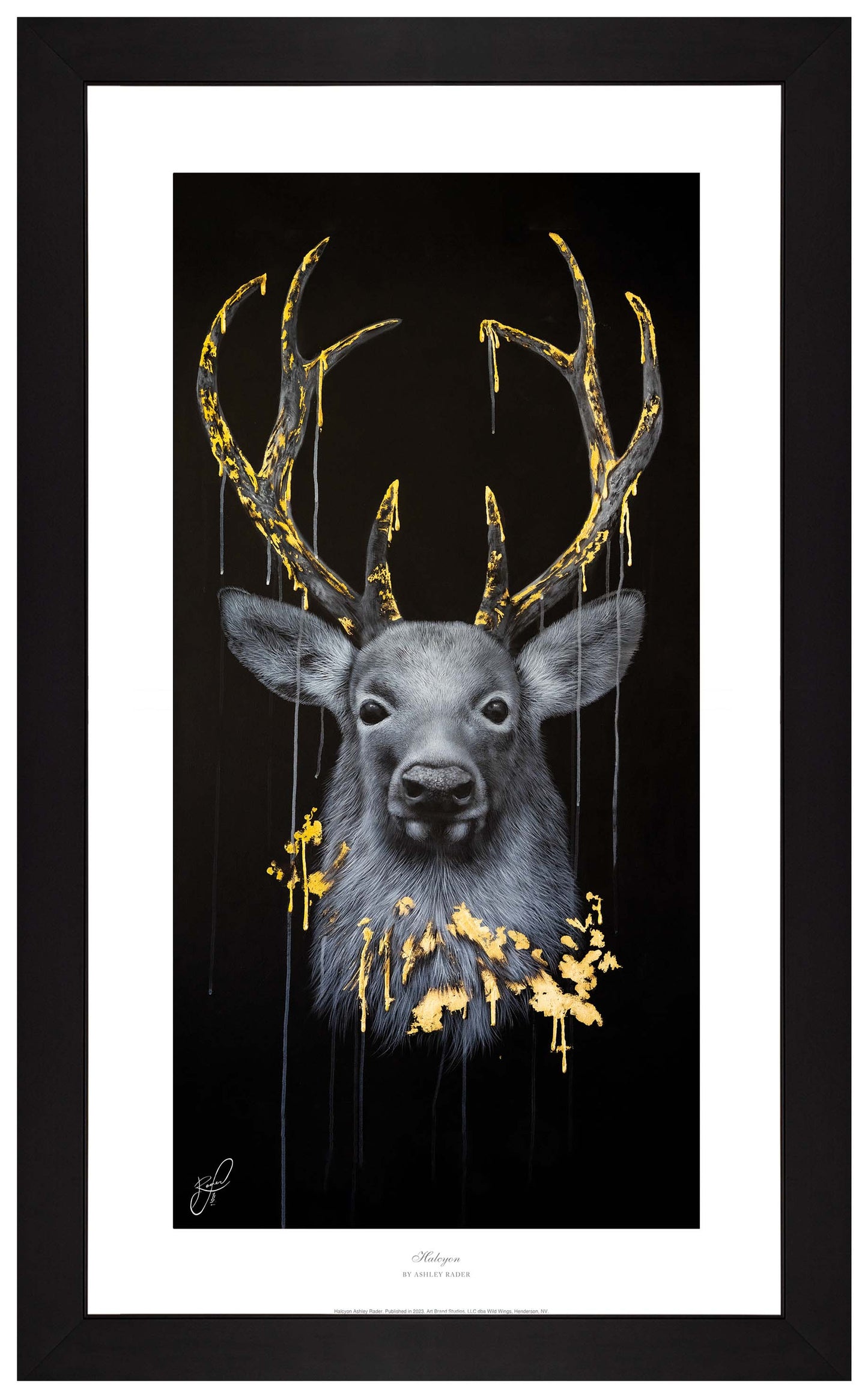 Halcyon - Master Artisan Paper