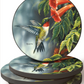 Ruby Throated Hummingbird - Coasters (Set of 4)