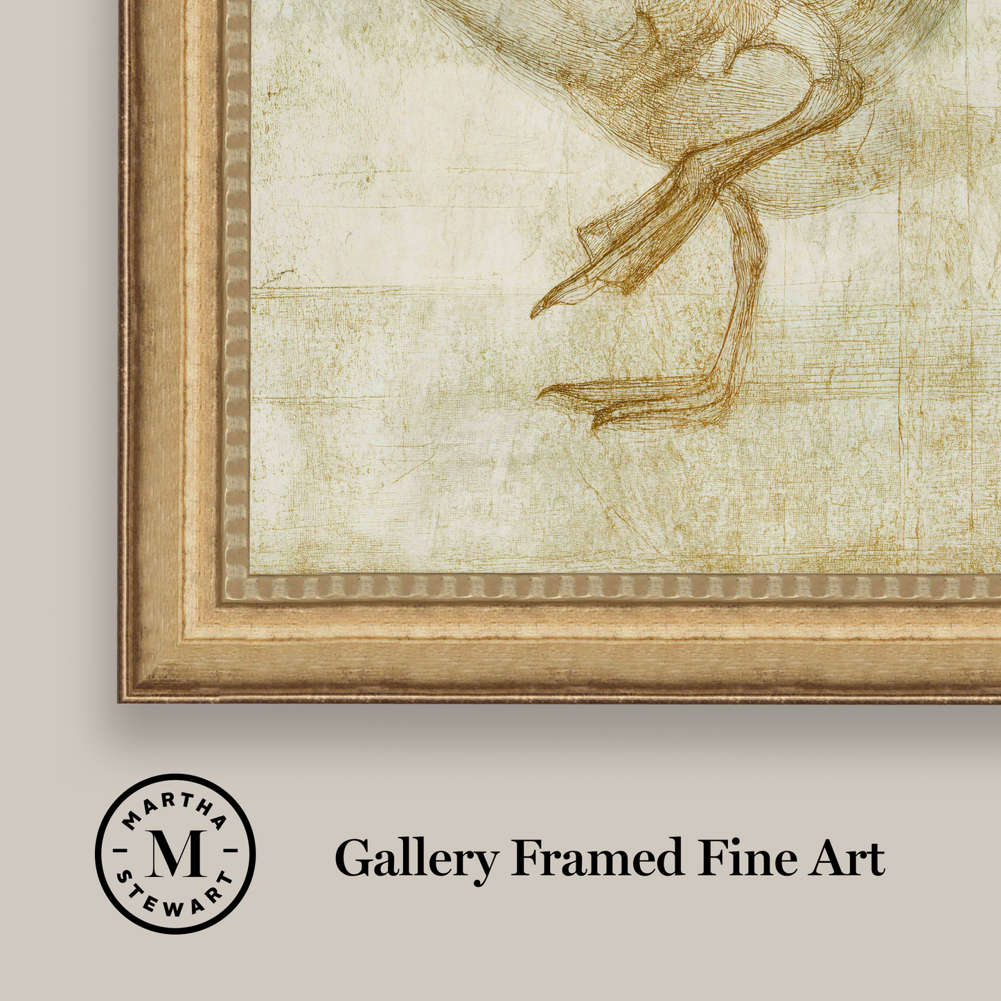 Martha Stewart Skylands | Naturalist Study: Waterfowl II | Framed Vintage Wildlife Illustration | New England Estate Wall Art
