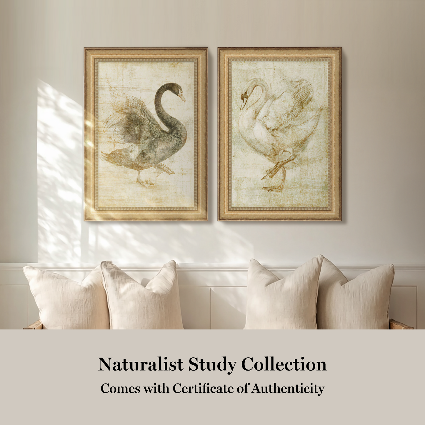 Martha Stewart Skylands | Naturalist Study: Waterfowl II | Framed Vintage Wildlife Illustration | New England Estate Wall Art