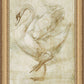 Martha Stewart Skylands | Naturalist Study: Waterfowl II | Framed Vintage Wildlife Illustration | New England Estate Wall Art