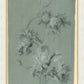 Martha Stewart Skylands | Woodland Botanical Study II | Framed Vintage Fern & Floral Illustration | Historic Estate Décor