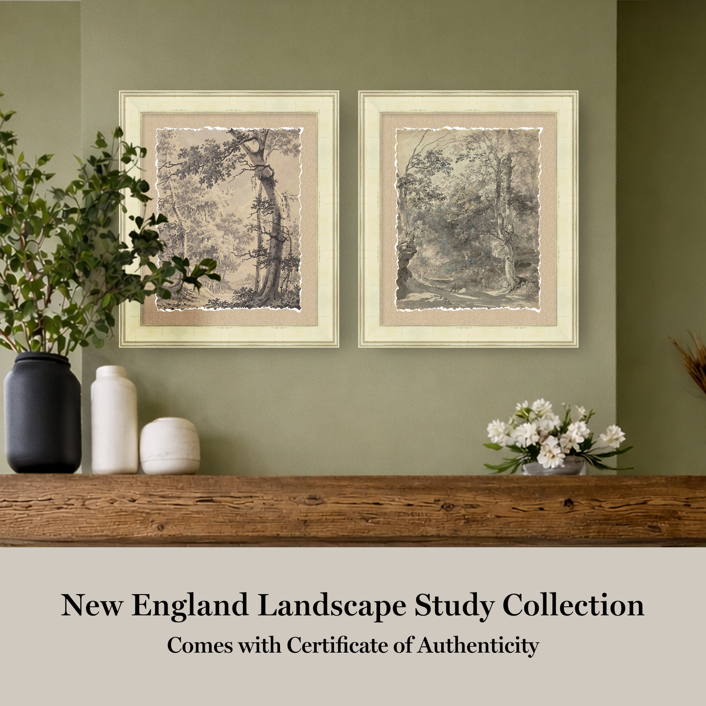 Martha Stewart Skylands | New England Landscape Study I | Framed Vintage Forest Etching | Historic Estate Wall Art