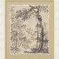 Martha Stewart Skylands | New England Landscape Study I | Framed Vintage Forest Etching | Historic Estate Wall Art