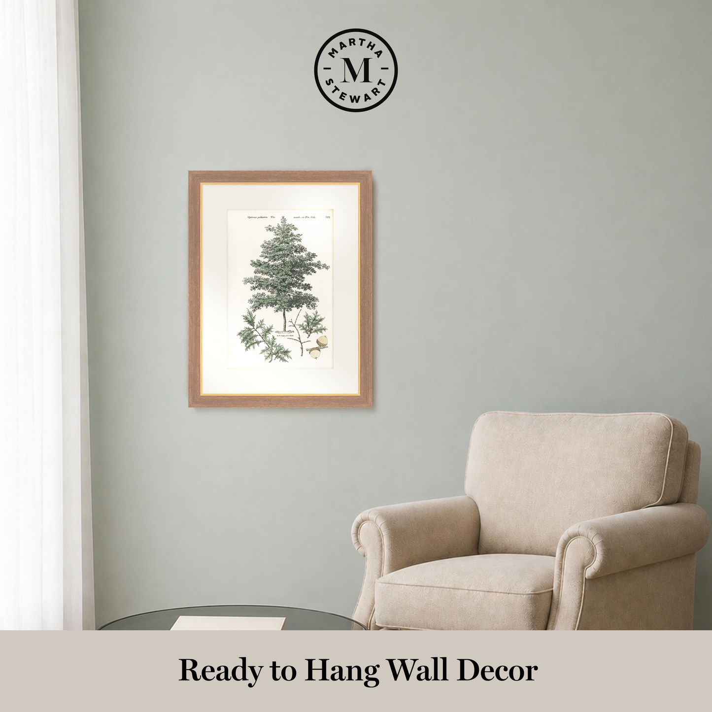 Martha Stewart Skylands | Woodland Tree Study I | Framed Vintage Botanical Illustration | New England Estate Wall Art