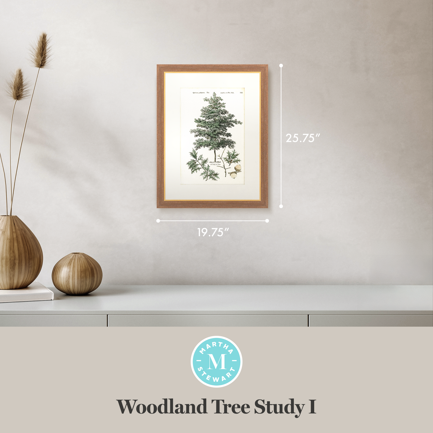 Martha Stewart Skylands | Woodland Tree Study I | Framed Vintage Botanical Illustration | New England Estate Wall Art