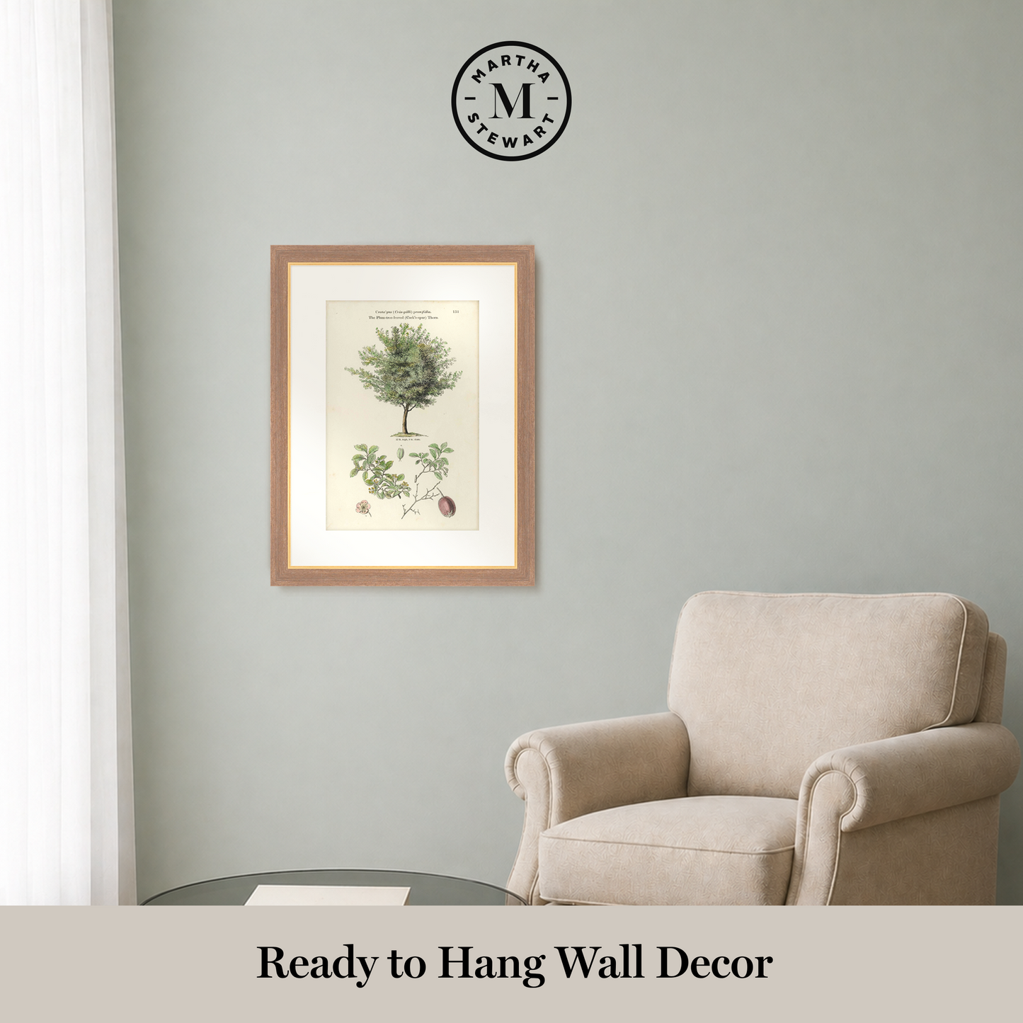 Martha Stewart Skylands | Woodland Tree Study II | Framed Vintage Botanical Illustration | New England Estate Wall Art