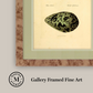 Martha Stewart Skylands | Avian Egg Study I | Framed Vintage Ornithology Illustration | New England Estate Wall Art