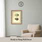 Martha Stewart Skylands | Avian Egg Study I | Framed Vintage Ornithology Illustration | New England Estate Wall Art