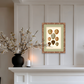 Martha Stewart Skylands | Avian Egg Study III | Framed Vintage Ornithology Plate | Historic Estate Wall Art