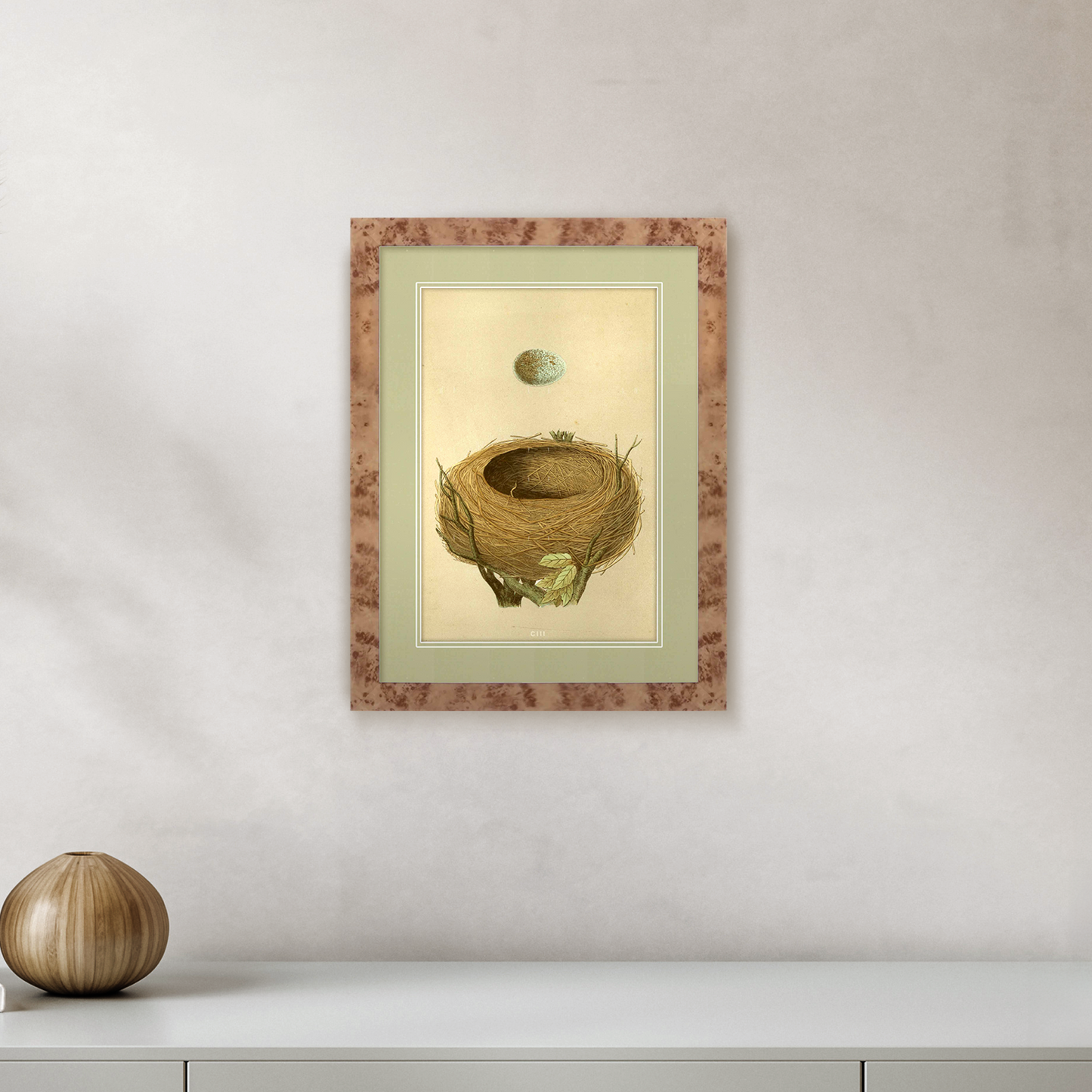 Martha Stewart Skylands | Ornithology Study: Nest & Egg | Framed Vintage Bird Nest Illustration | New England Estate Wall Art