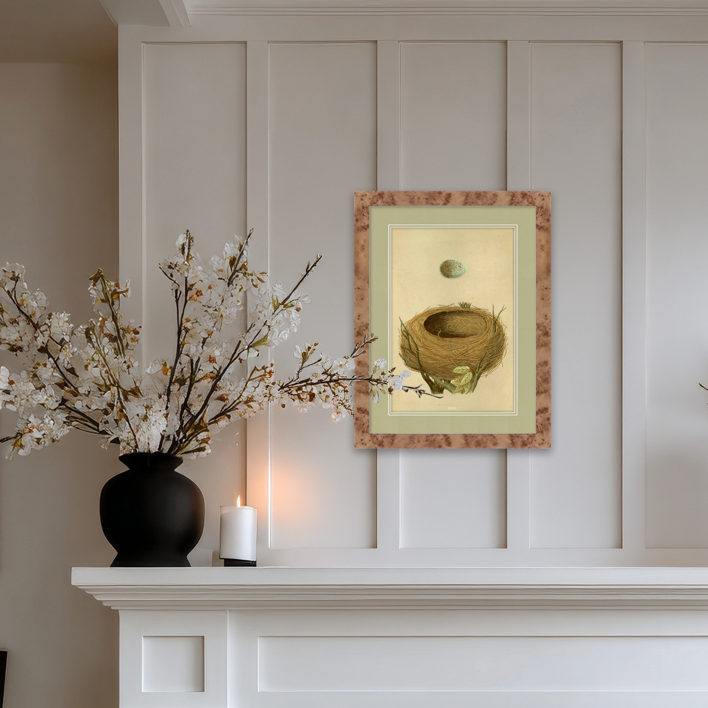 Martha Stewart Skylands | Ornithology Study: Nest & Egg | Framed Vintage Bird Nest Illustration | New England Estate Wall Art