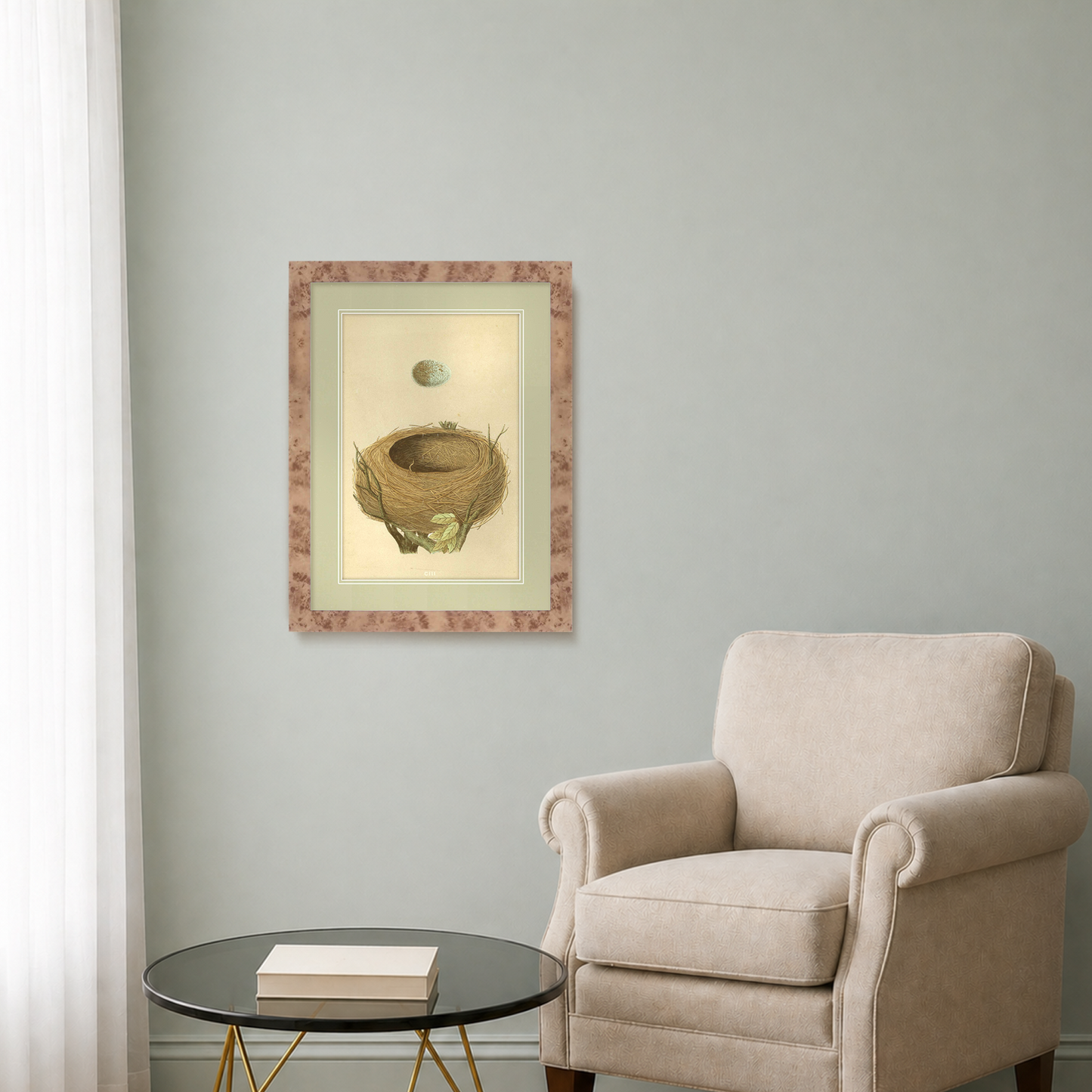 Martha Stewart Skylands | Ornithology Study: Nest & Egg | Framed Vintage Bird Nest Illustration | New England Estate Wall Art