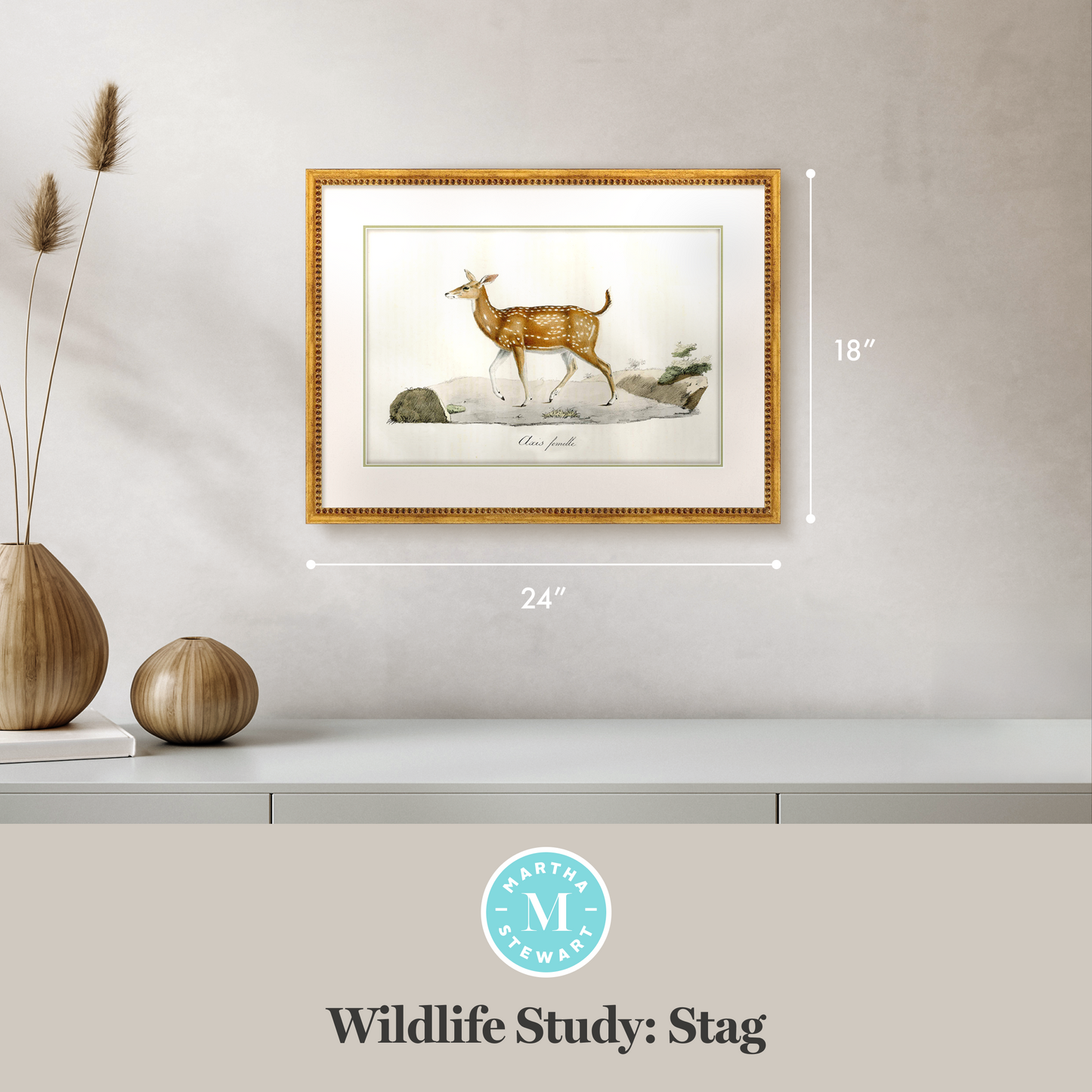 Martha Stewart Skylands | Wildlife Study: Stag | Framed Vintage Deer Illustration | Estate Natural History Wall Art