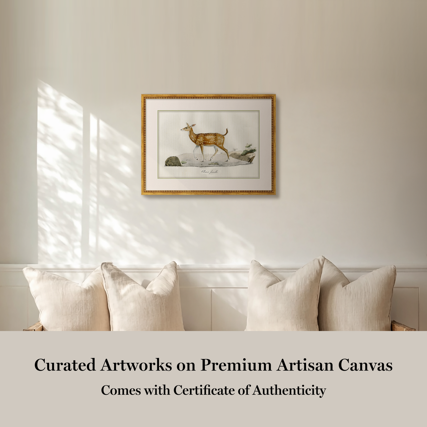 Martha Stewart Skylands | Wildlife Study: Stag | Framed Vintage Deer Illustration | Estate Natural History Wall Art