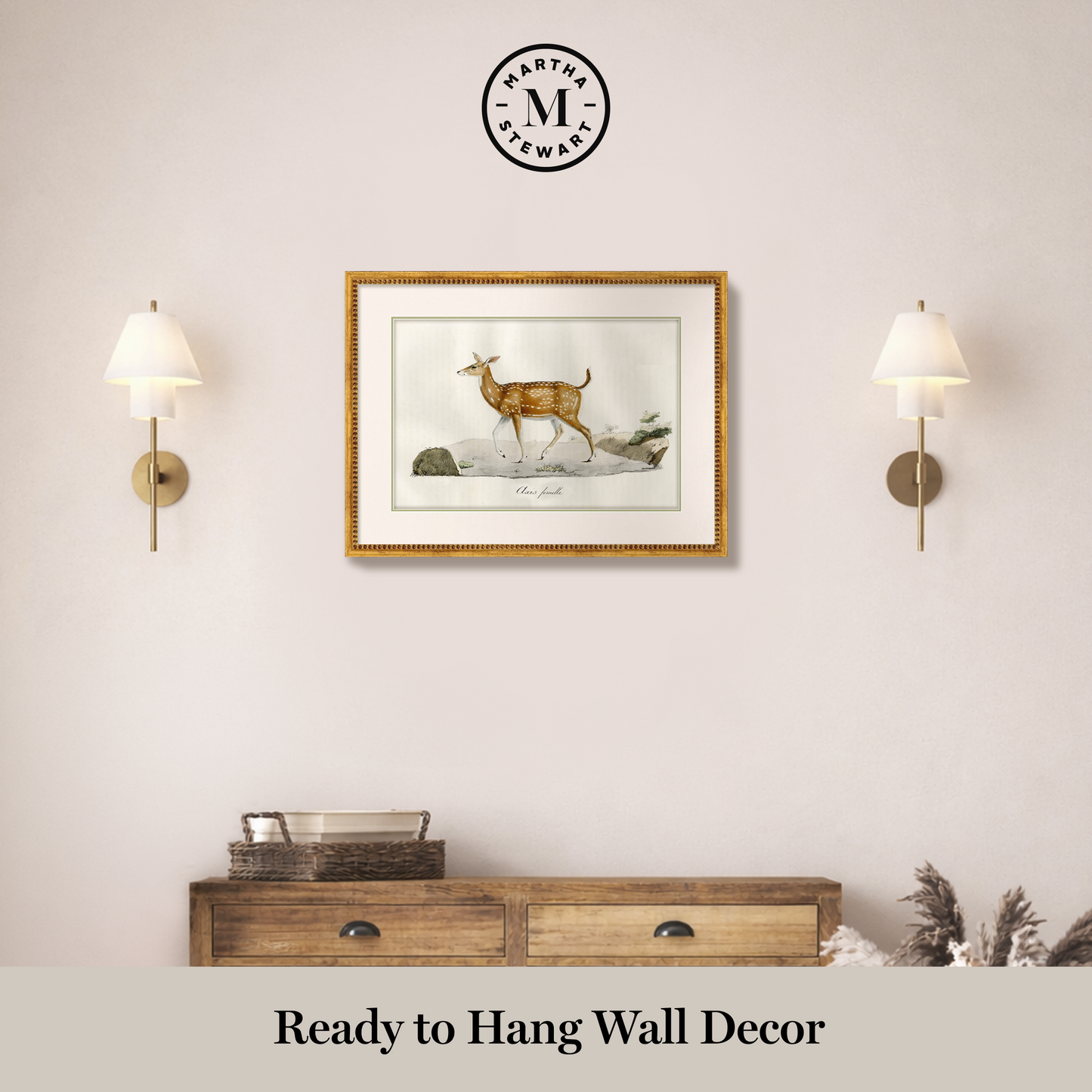 Martha Stewart Skylands | Wildlife Study: Stag | Framed Vintage Deer Illustration | Estate Natural History Wall Art