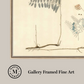 Martha Stewart Skylands | Woodland Botanical Study: Fern | Framed Vintage Fern Illustration | Historic Estate Décor