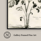 Martha Stewart Skylands | Woodland Botanical Study: Bramble | Framed Vintage Botanical Illustration | Estate Wall Art
